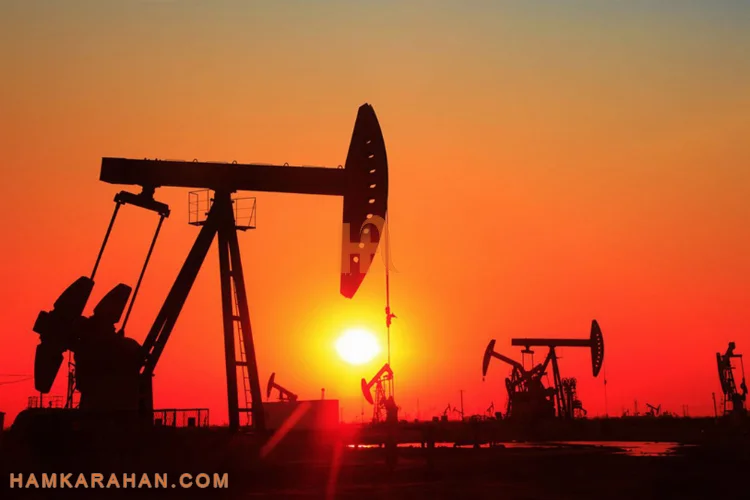 تولید جهانی نفت کاهش یافت